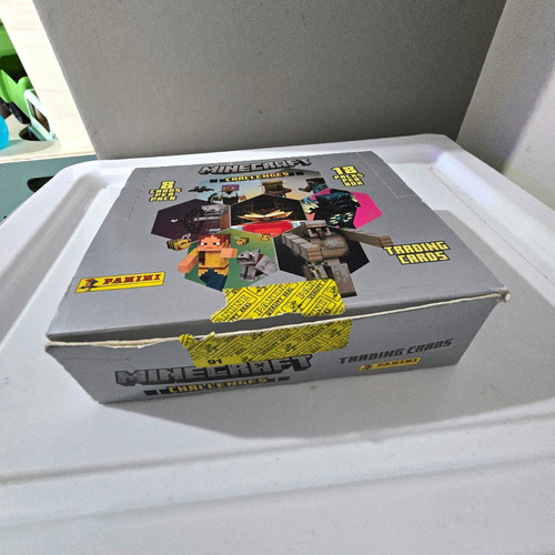 Panini minecraft challenges - minecraft,